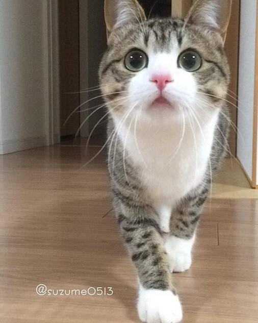 爱游戏官网-?"Su;?I?)??q的简单介绍